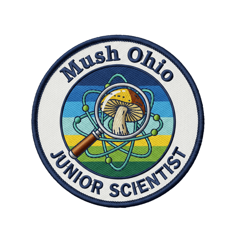 A stylized, modern digital art representation of a complex, interconnected network of abstract cloud services